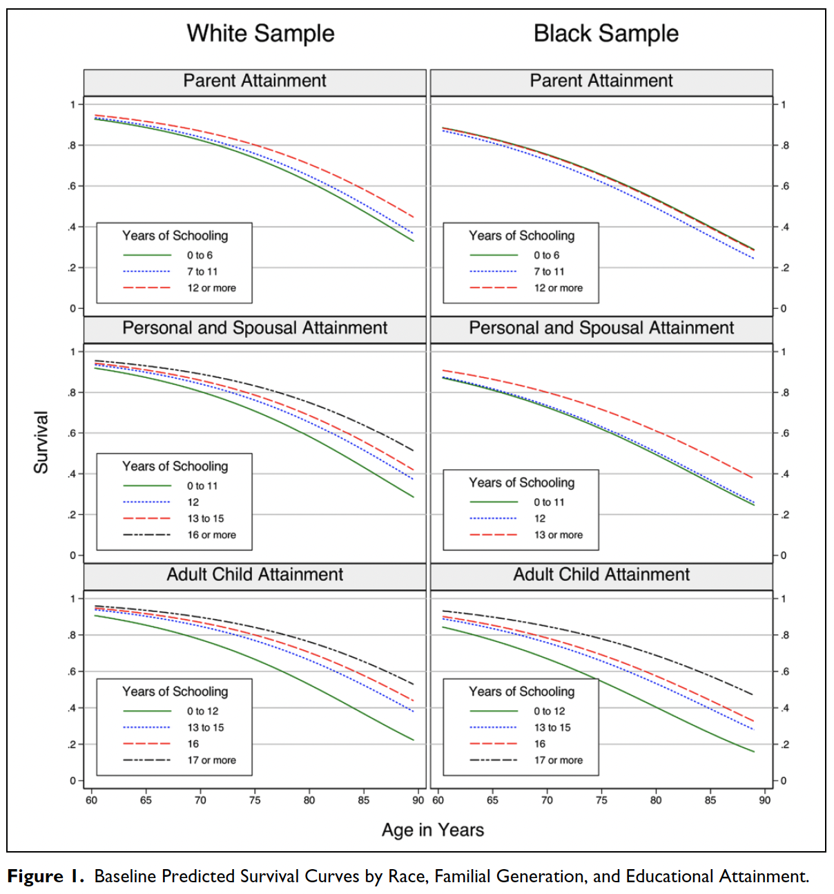 Baseline Predicted Survival Curves by Race, Familial Generation, and Educational Attainment